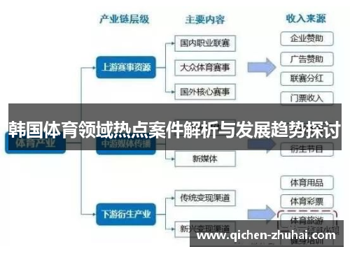 韩国体育领域热点案件解析与发展趋势探讨